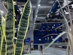 -兰湘子·湘菜小炒(崂山丽达店)