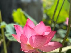 -灵光寺