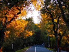 -长春净月潭风景名胜区