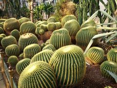 -北京植物园-展览温室
