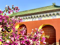 -天坛公园