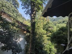 -嘉龙茶庄