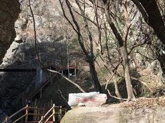 景点-牛背梁国家森林公园