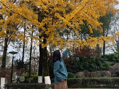 -重庆彩云湖湿地公园