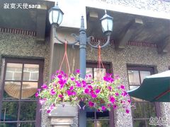 图像0162-名汇粤菜馆(黄兴路店)