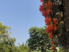 -广州神农草堂中医药博物馆