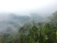 -塔云山