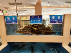 -双井轩(双井店)