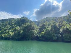 -鼎湖山风景区