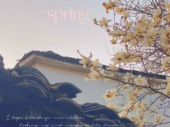-小河无名面馆