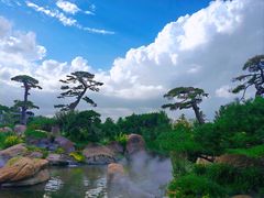 -罗红摄影艺术馆