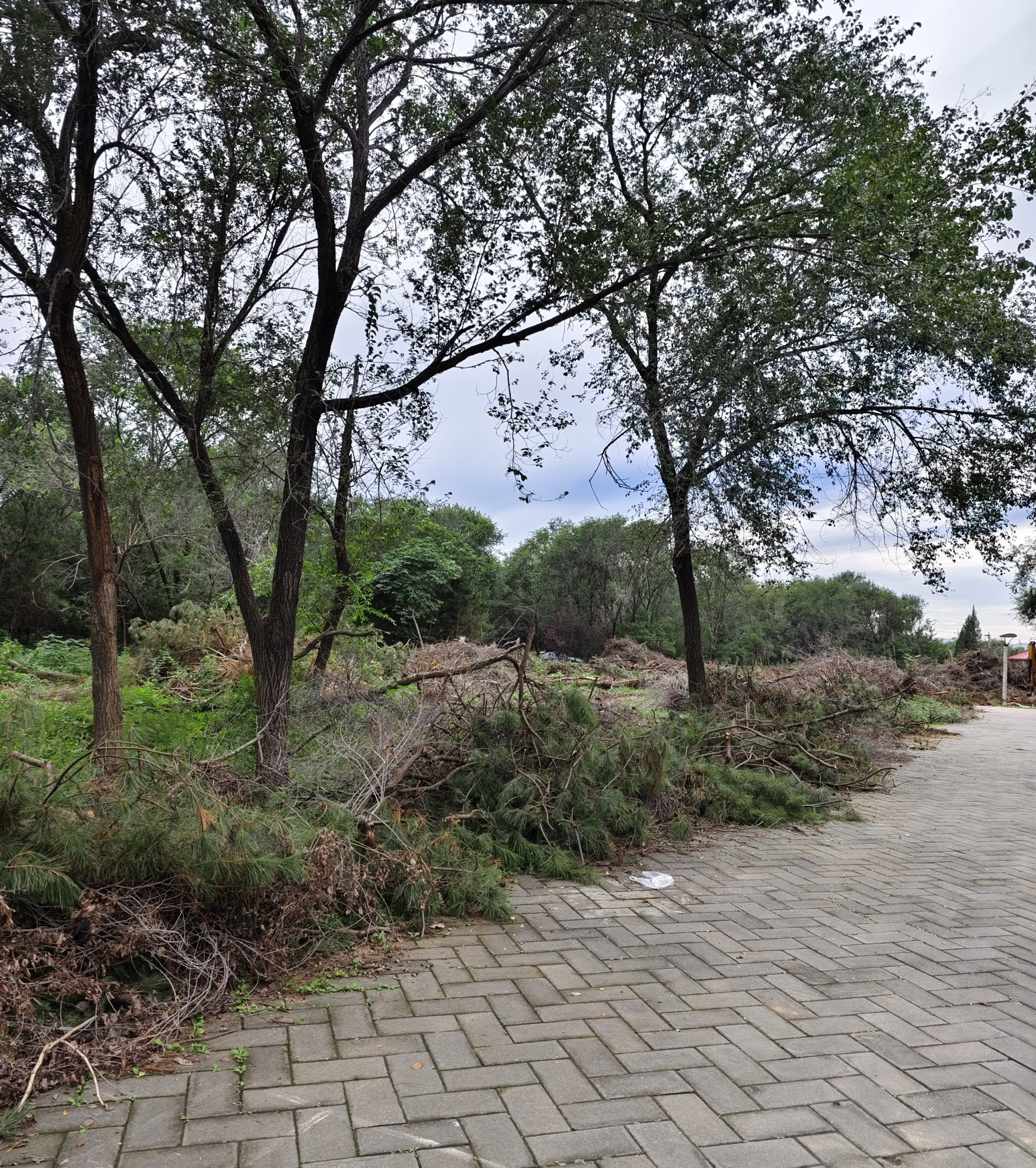 这个公园在霍营公园附近,南边是个杂乱的村