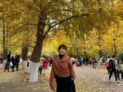 -辽宁大学(崇山校区)