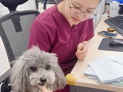 -中国农业大学动物医院