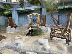 -海南热带野生动植物园