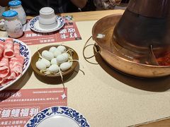 -东镇老火锅(长春路首店)