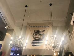 -猫咪博物馆(顶澳仔猫街店)