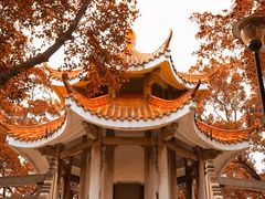 -红花山公园