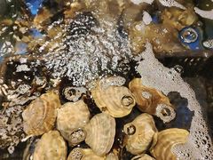 -海煮叹鲜·粥底火锅·港式海鲜打边炉(赛银国际广场店)