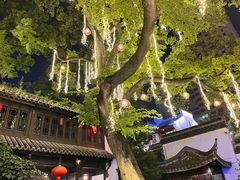 -南京市民俗博物馆(甘熙故居)