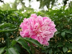 -幕燕滨江·长江观音景区