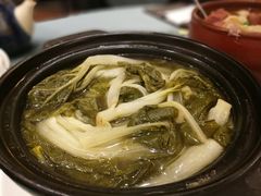 煲淋白菜-沙龙酒家