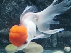 -苏州海洋馆