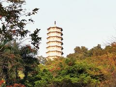 -深圳国际园林花卉博览园