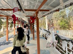 -盈香心动乐园