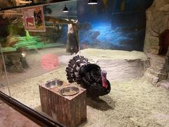 -zoonana室内动物园(东方福来德店)