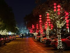 -上海浦东星河湾酒店