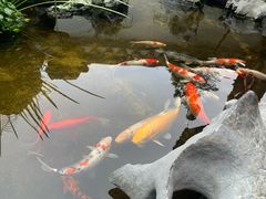 -道南書院·私房菜·早午茶·茶馆