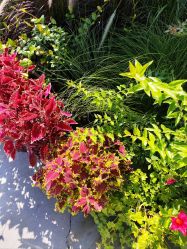 -今日陶艺(富力广场店)