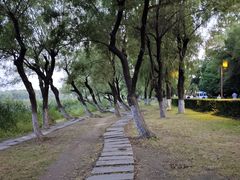 -长春市南湖公园