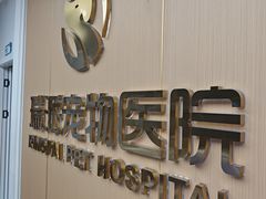 -瑞派康怡24h宠物医院·犬猫医疗中心·微创绝育(瑞景分院)
