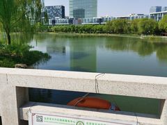 -大兴滨河森林公园