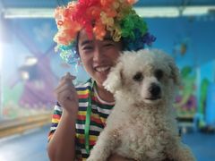 -武汉紫薇都市田园