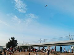 -宝安西湾红树林湿地公园