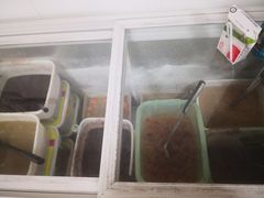 -透心凉糖水(听海居店)