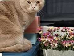 -宠颐生宠物医院·心肾内科·猫专科诊疗中心宠巢店