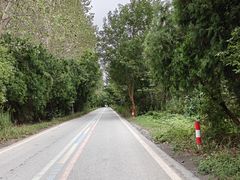 -黄海国家森林公园