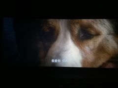 -万达影城(云龙万达广场IMAX店)