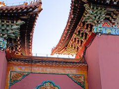 -北陵公园