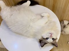 -老韩煸鸡·中国炸鸡(水塔美食街店)