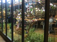-拈菜(观音桥阳光世纪店)