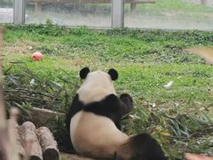 -西安秦岭野生动物园