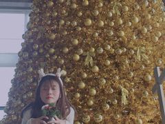 -重庆解放碑威斯汀酒店