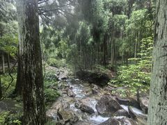 -雁荡山大龙湫景区