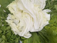 -蒙星月涮肚火锅城(宏运家园店)