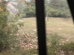 -雨花台烈士纪念馆